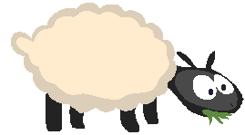 Sheep